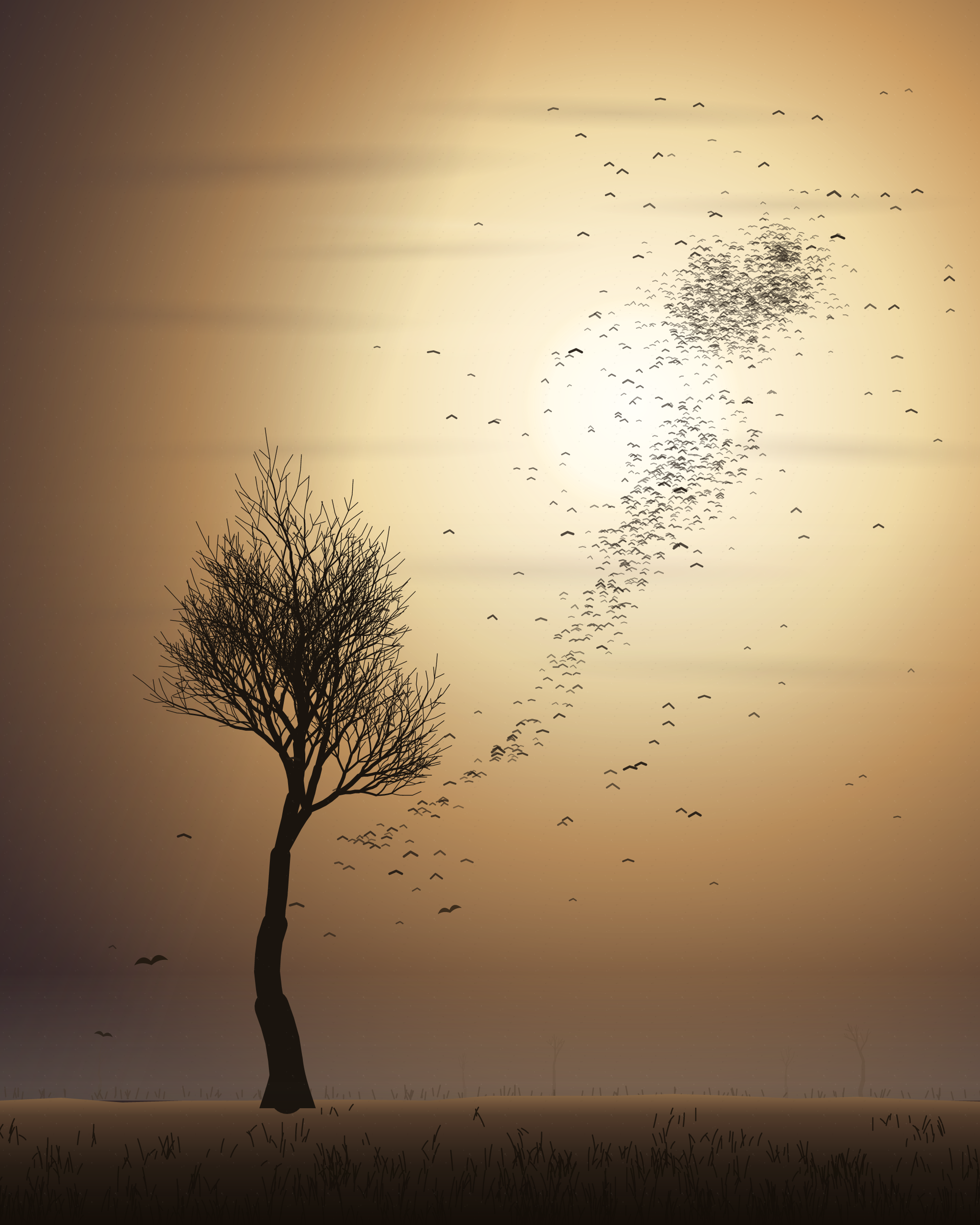 Murmuration, version 2: v2: widened tonal range - deeper periphery and corners, brighter core. Dominant-pair contrast 2.5 -> 6.3, fixing the LOW_CONTRAST warning from inspect of v1