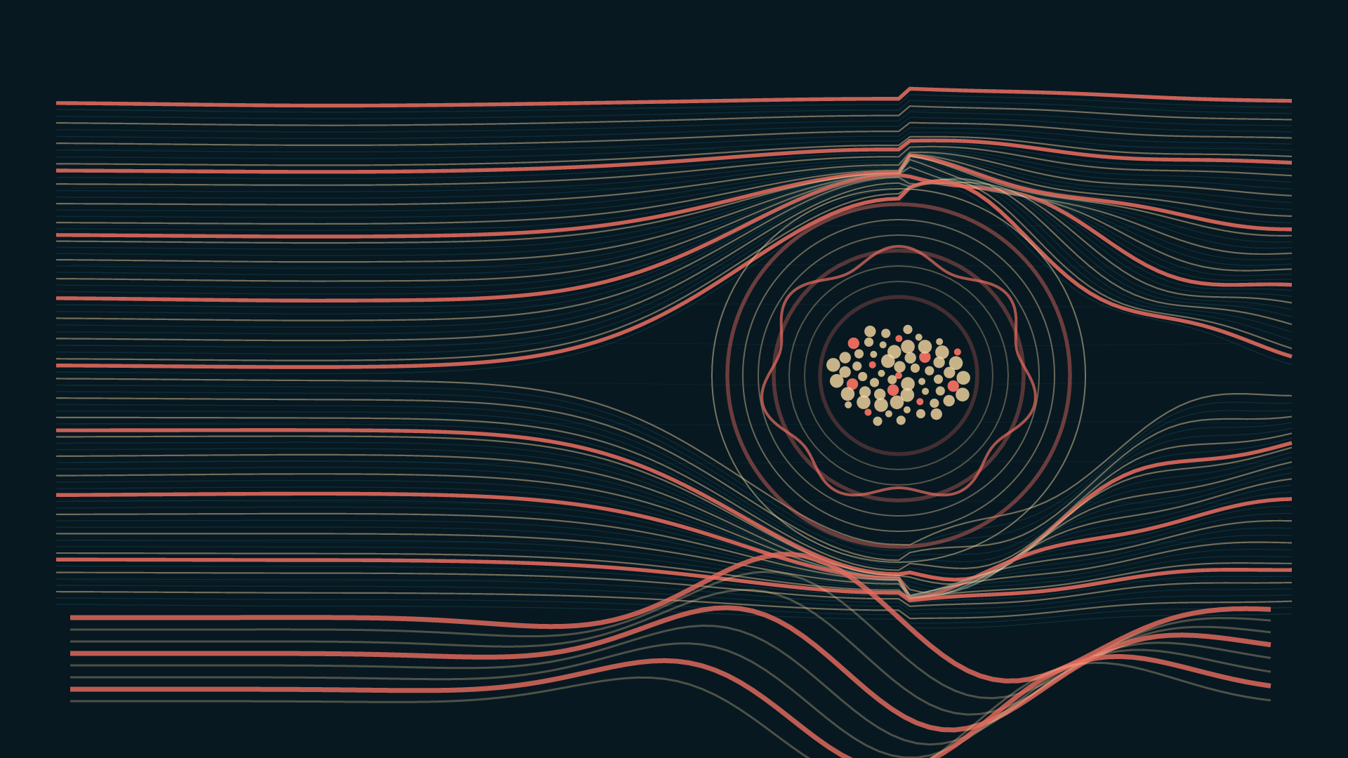 The River Remembers the Stone, version 4: v4 / Branch A finalist — streamlines split, pass, and reunite around the reef