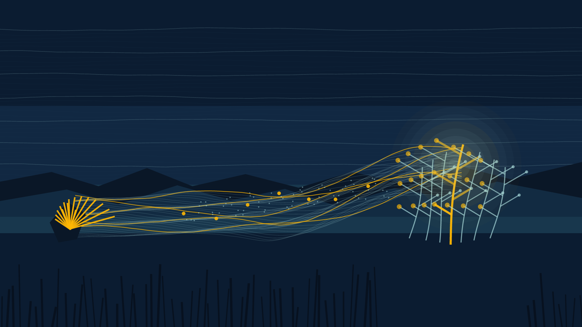 The Distance Learns to Root, version 1: V1 Branch A: hypothesis—sparse migration reads as seed, passage, and rooted consequence