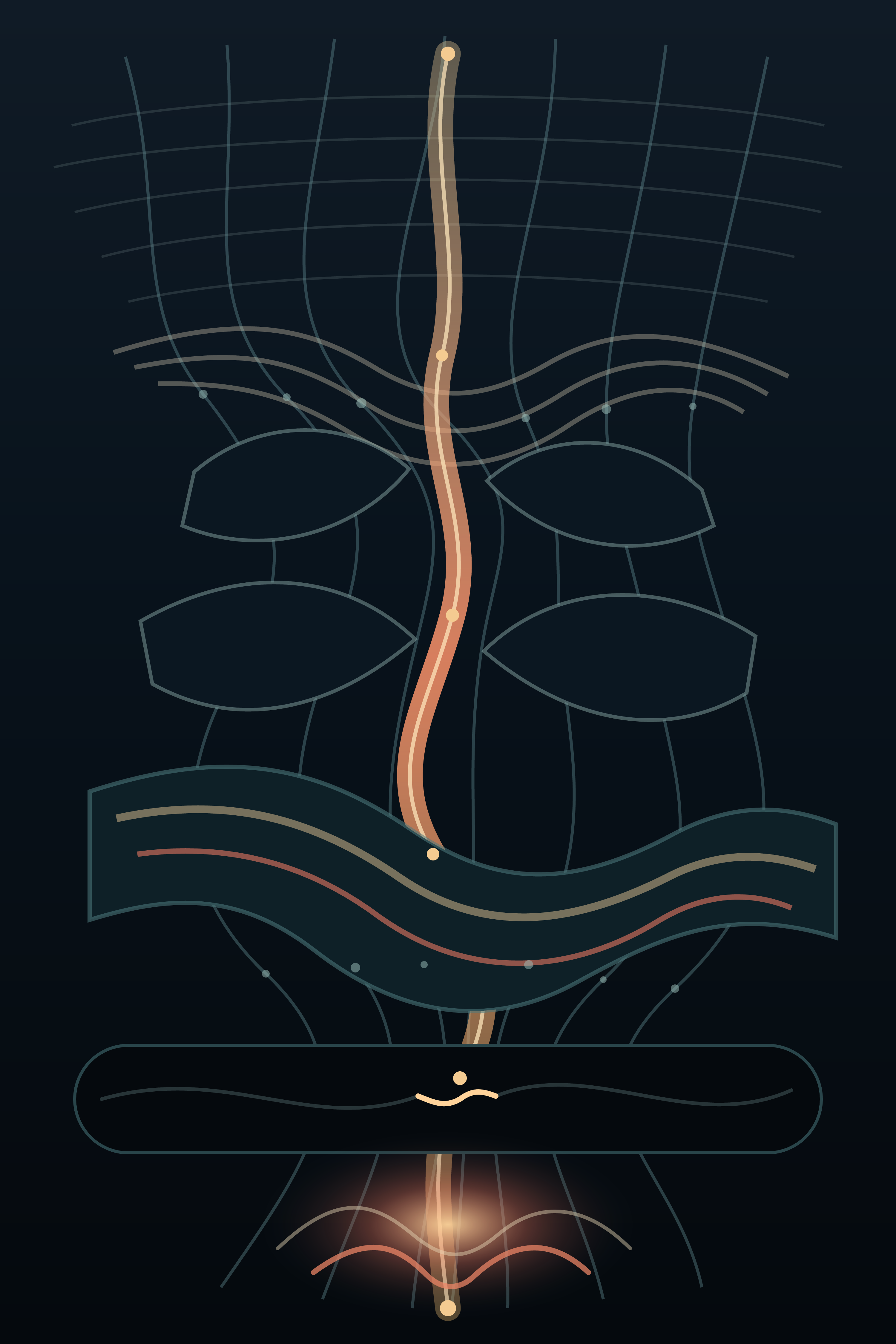 The Quiet That Rewrites the Rule, version 1: Vector baseline: correction scars seed each descending chamber